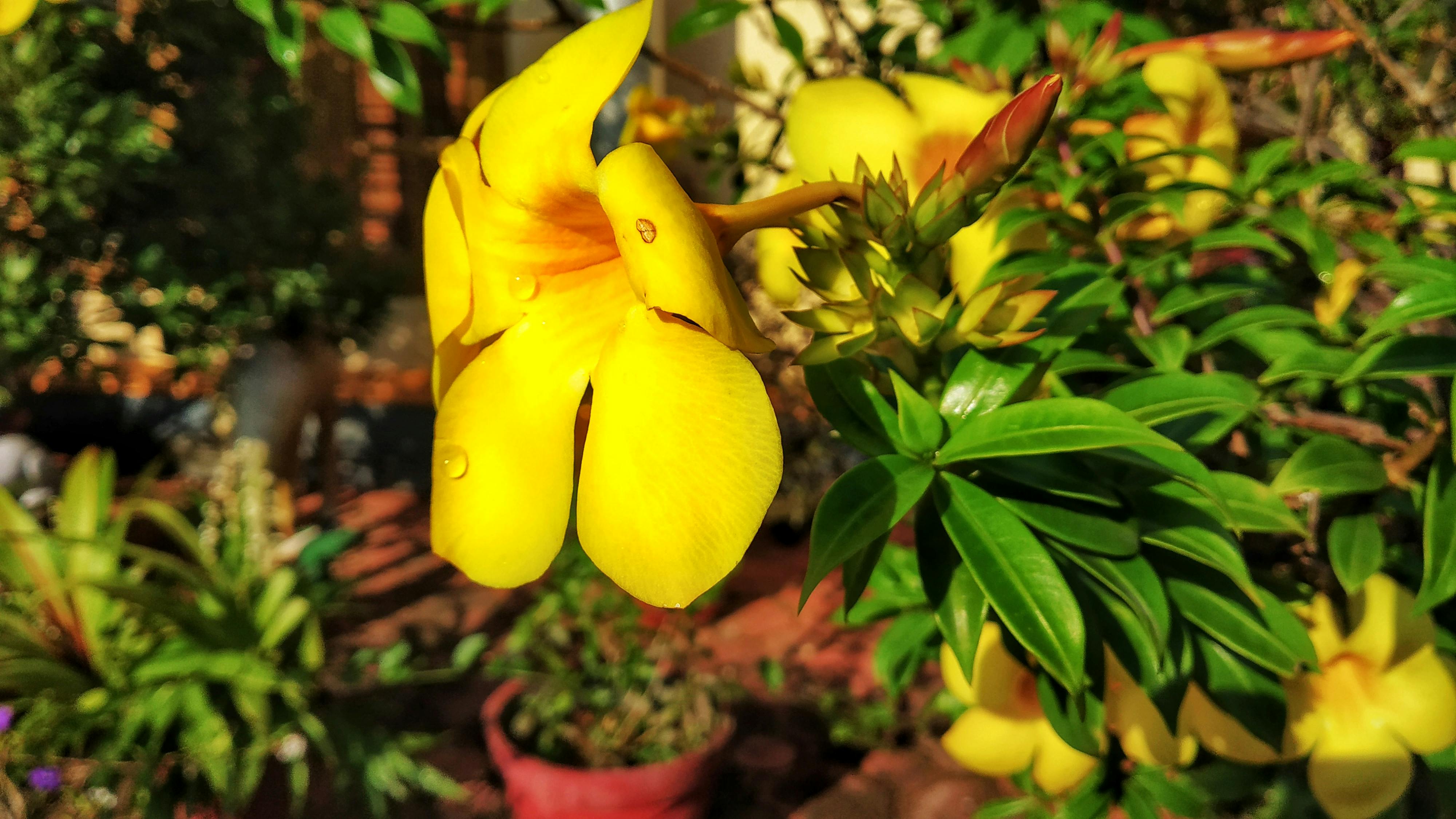 Thermostat zur Energieeinsparung