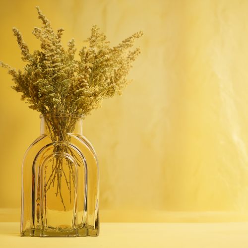 Arched glass vase with dried blooms — photo by Natalie Goodwin on Pexels