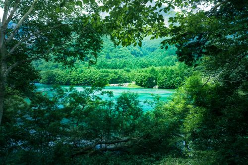 Free Beautiful forest landscape with a tranquil lake and vibrant greenery, perfect for nature lovers. Stock Photo