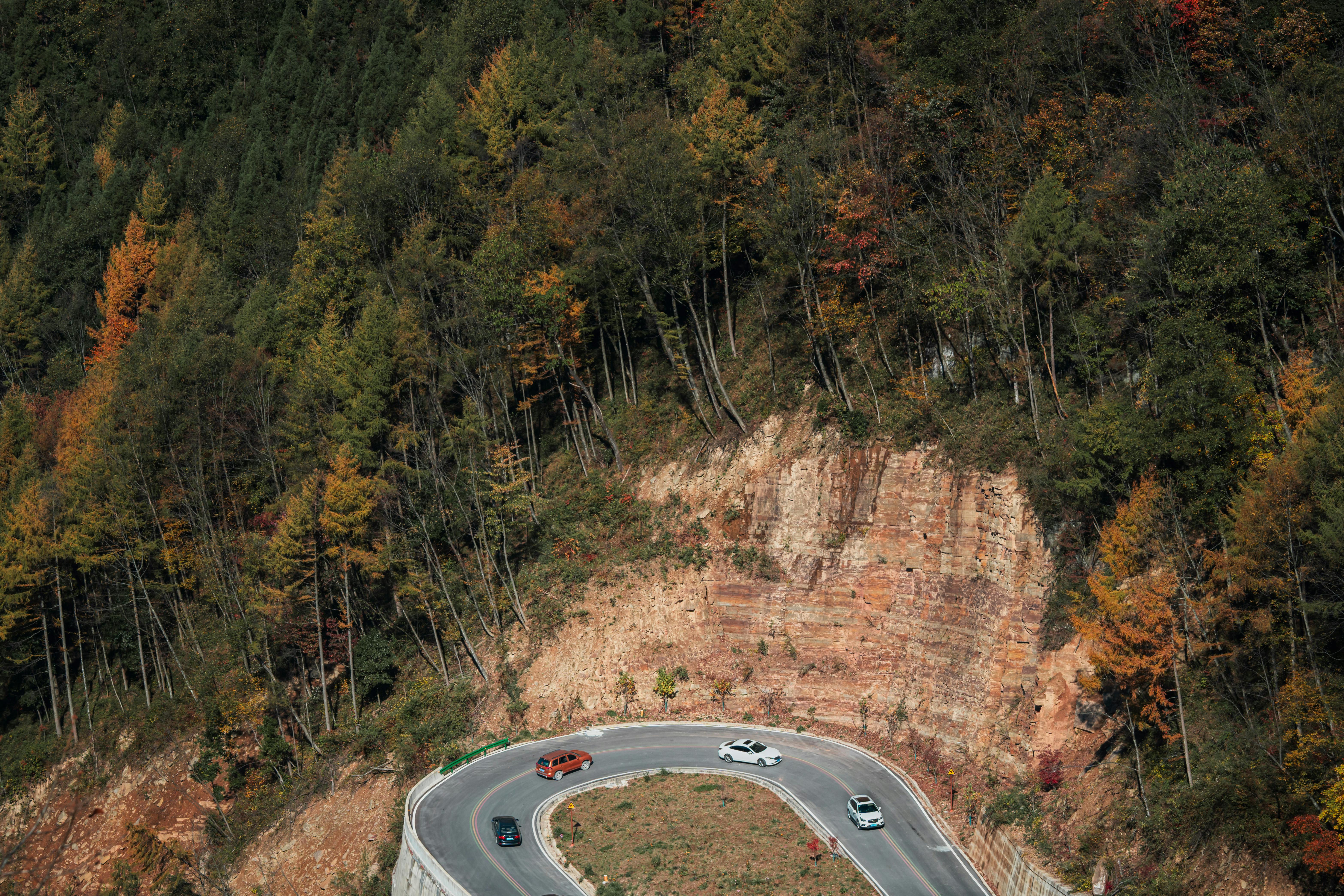 De franc Una vista aèria panoràmica d'una carretera de muntanya sinuosa envoltada d'un vibrant fullatge de tardor. Foto d'estoc