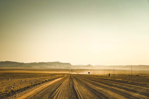 A long dirt road stretches through a desolate desert landscape under a clear sky at sunrise.
