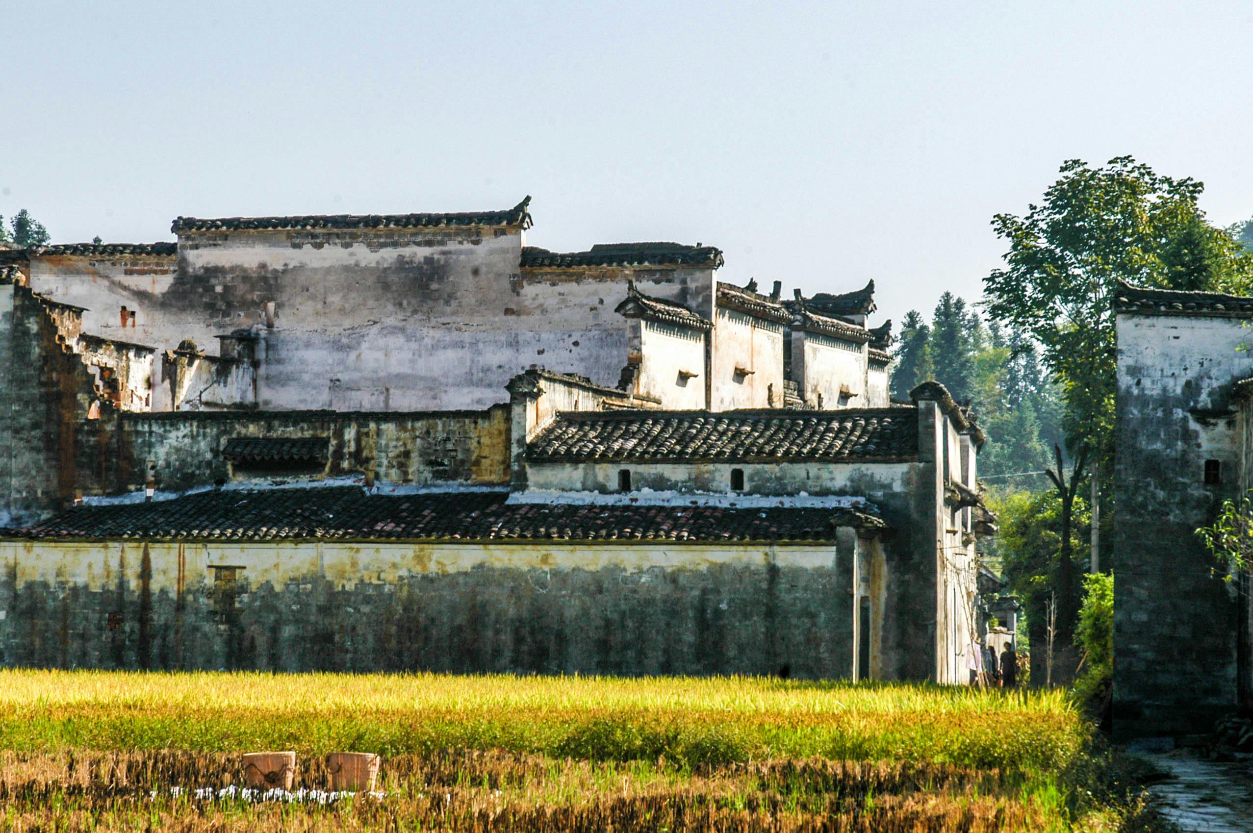 A Land of Rice Fields and Ancient History