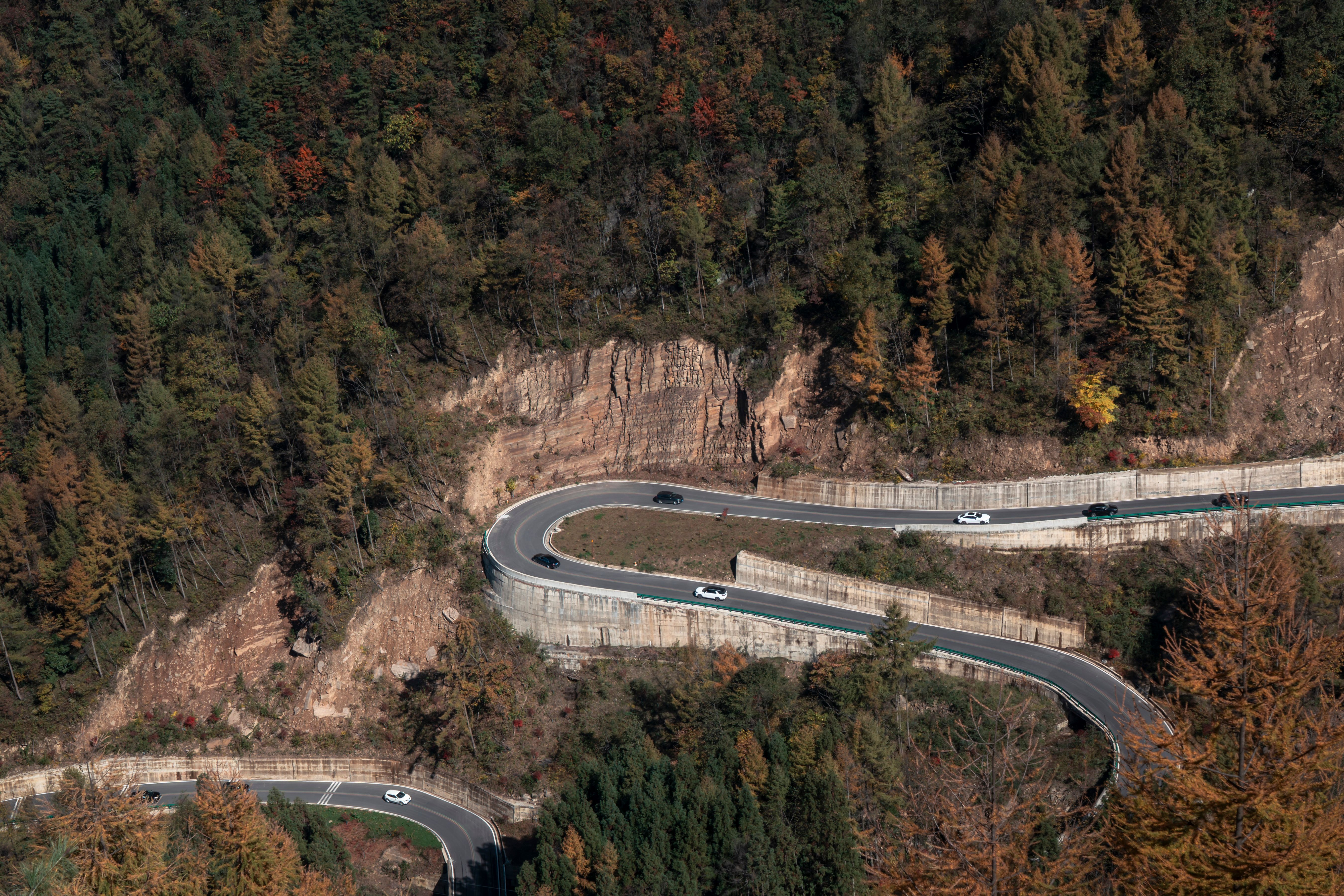 Winding Mountain Road with Autumn Foliage · Free Stock Photo