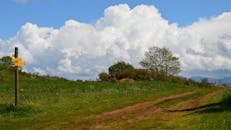 Scenic Countryside Path with Cloudy Sky