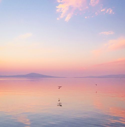 Free A calming view of Ayvalık at sunset with tranquil water and colorful sky. Stock Photo