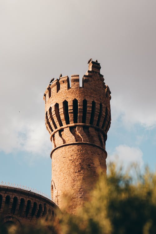 Fotografía Arquitectónica De Brown Tower