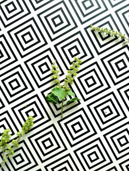 极简主义设计，黑白几何图案上点缀着新鲜的叶子，非常适合用作背景