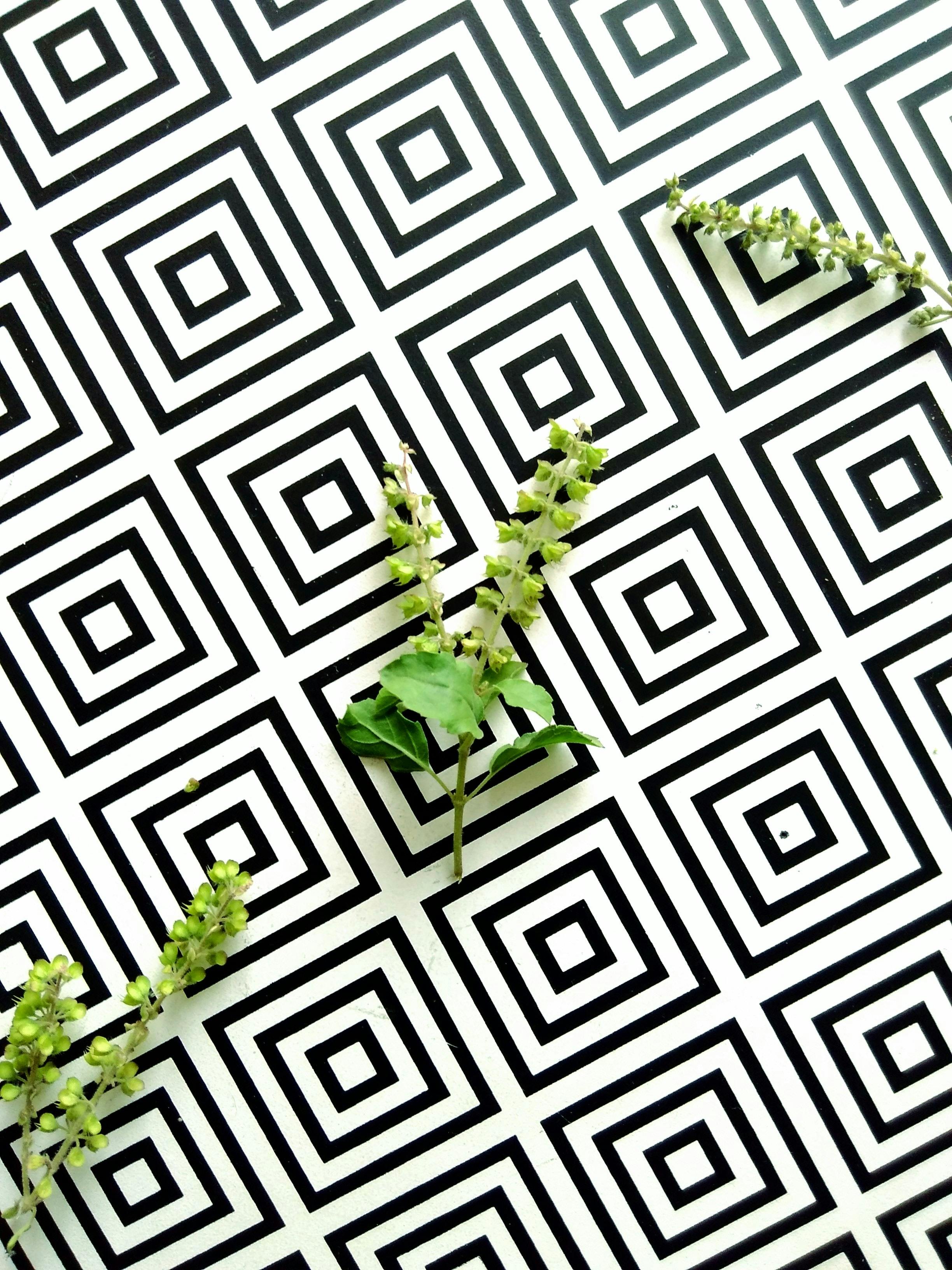 Geometric Pattern Photos, Download The BEST Free Geometric Pattern Stock  Photos & HD Images