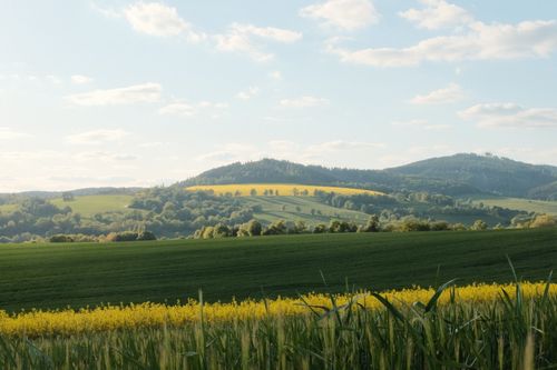 Free Rolling green hills under a sunny summer sky, featuring lush countryside landscapes. Stock Photo