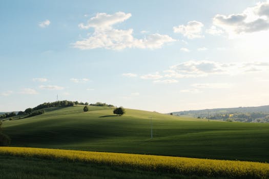 Scenic view of green rolling hills under a bright blue sky with clouds.