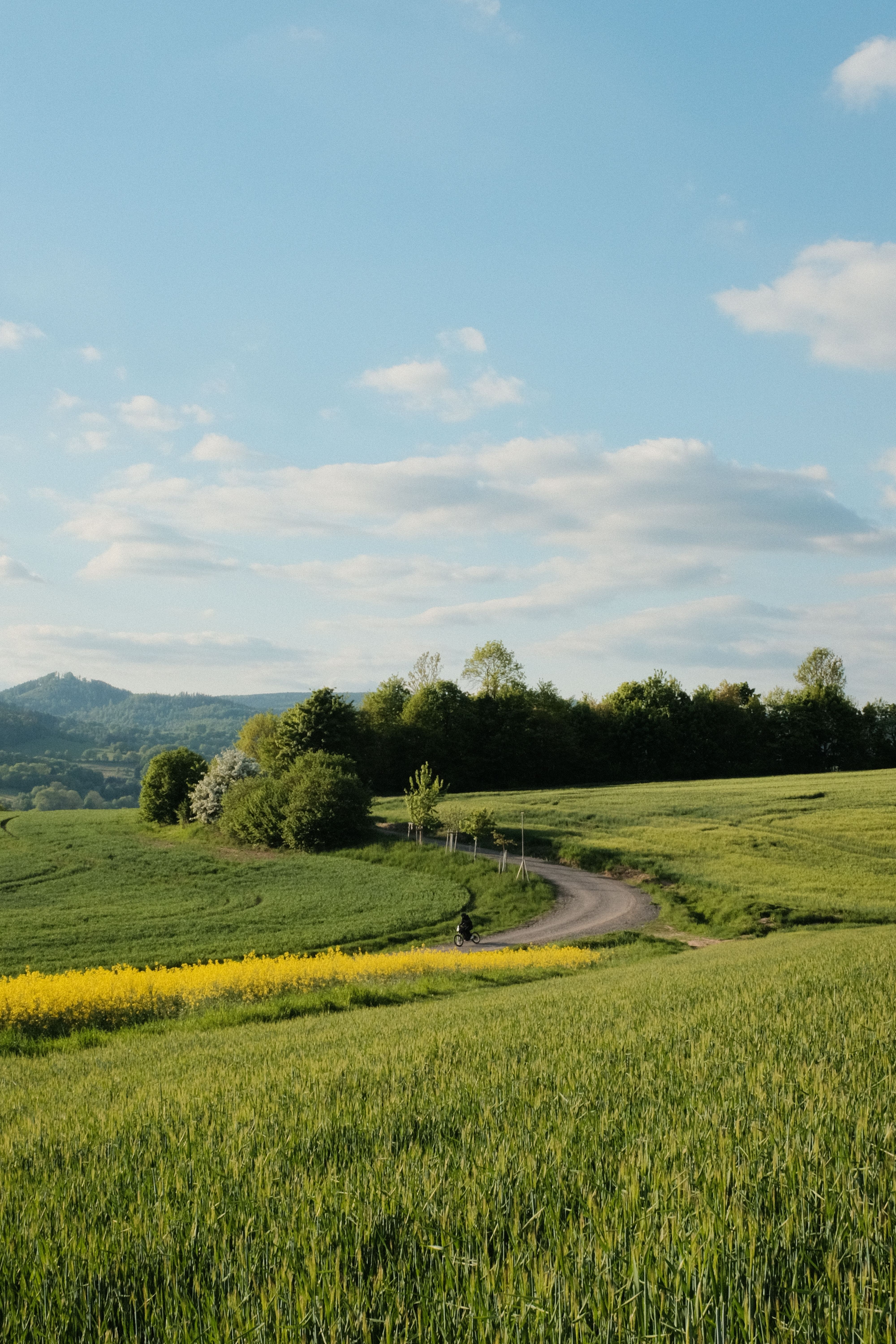 The Underrated Beauty of Manawatu: More Than Just Farmland