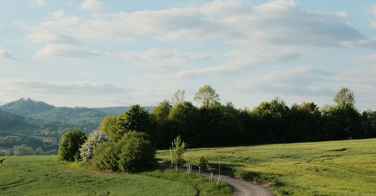 Rural Rode No Filter Scenic Rural Landscape with Winding Road · Free Stock Photo