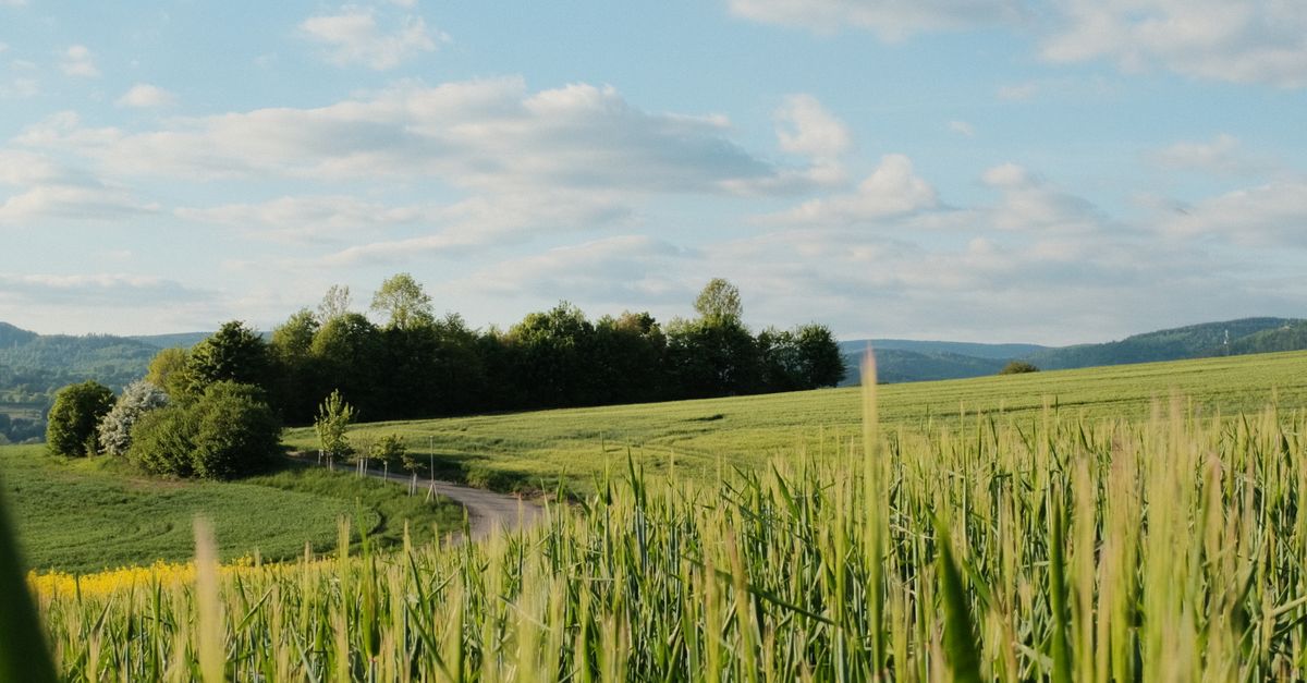Les impacts environnementaux de l'achat bio en ligne