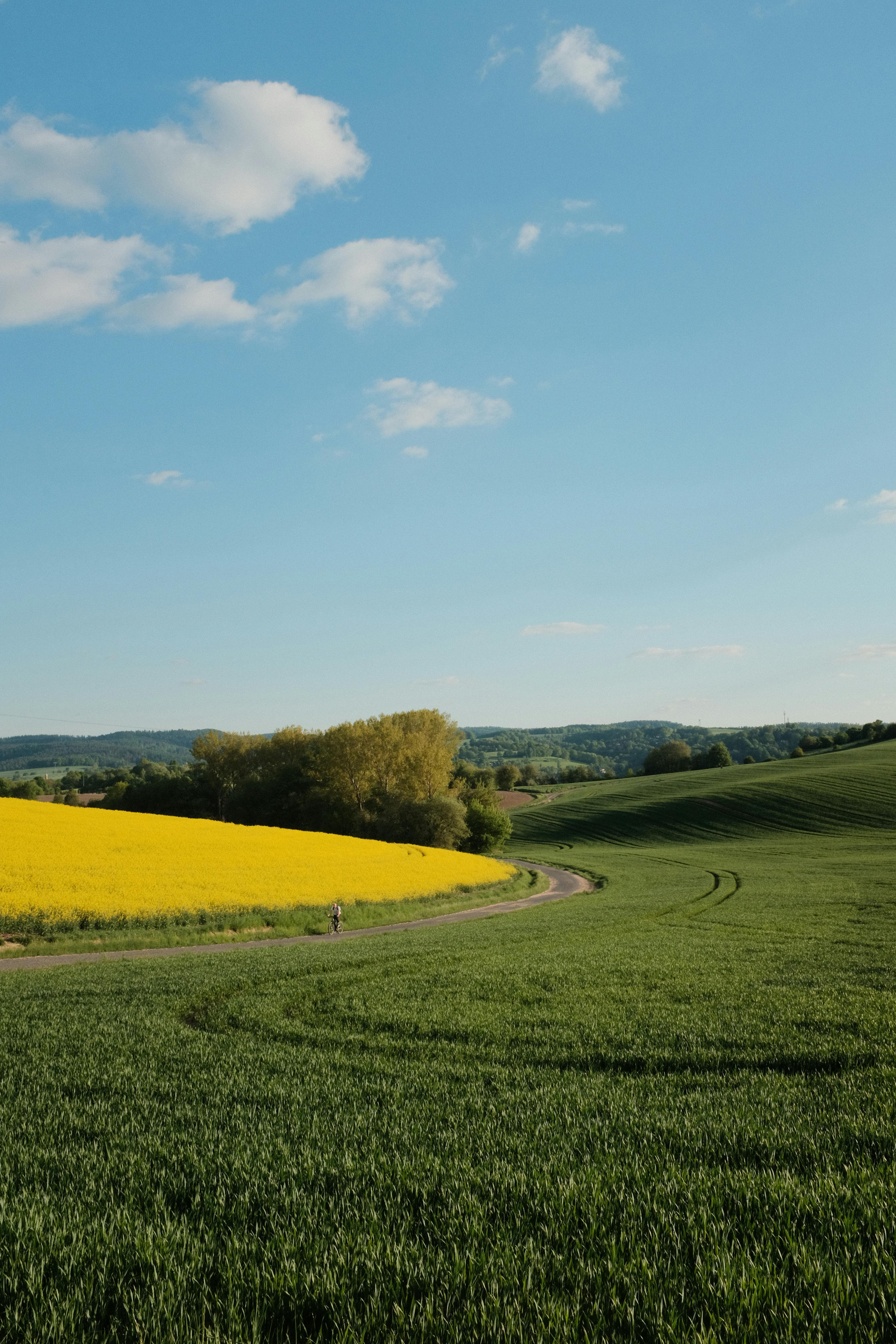 Scenic Hills and Fields in Höxter, Germany · Free Stock Photo