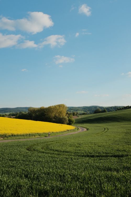 Free Lush green and yellow fields under a clear blue sky in a serene countryside setting. Stock Photo