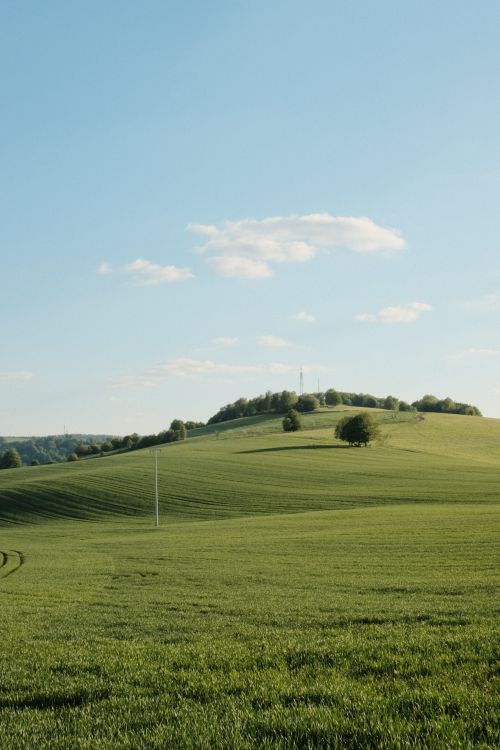 Free A picturesque scene of rolling green hills under a bright blue sky, capturing the essence of tranquility. Stock Photo