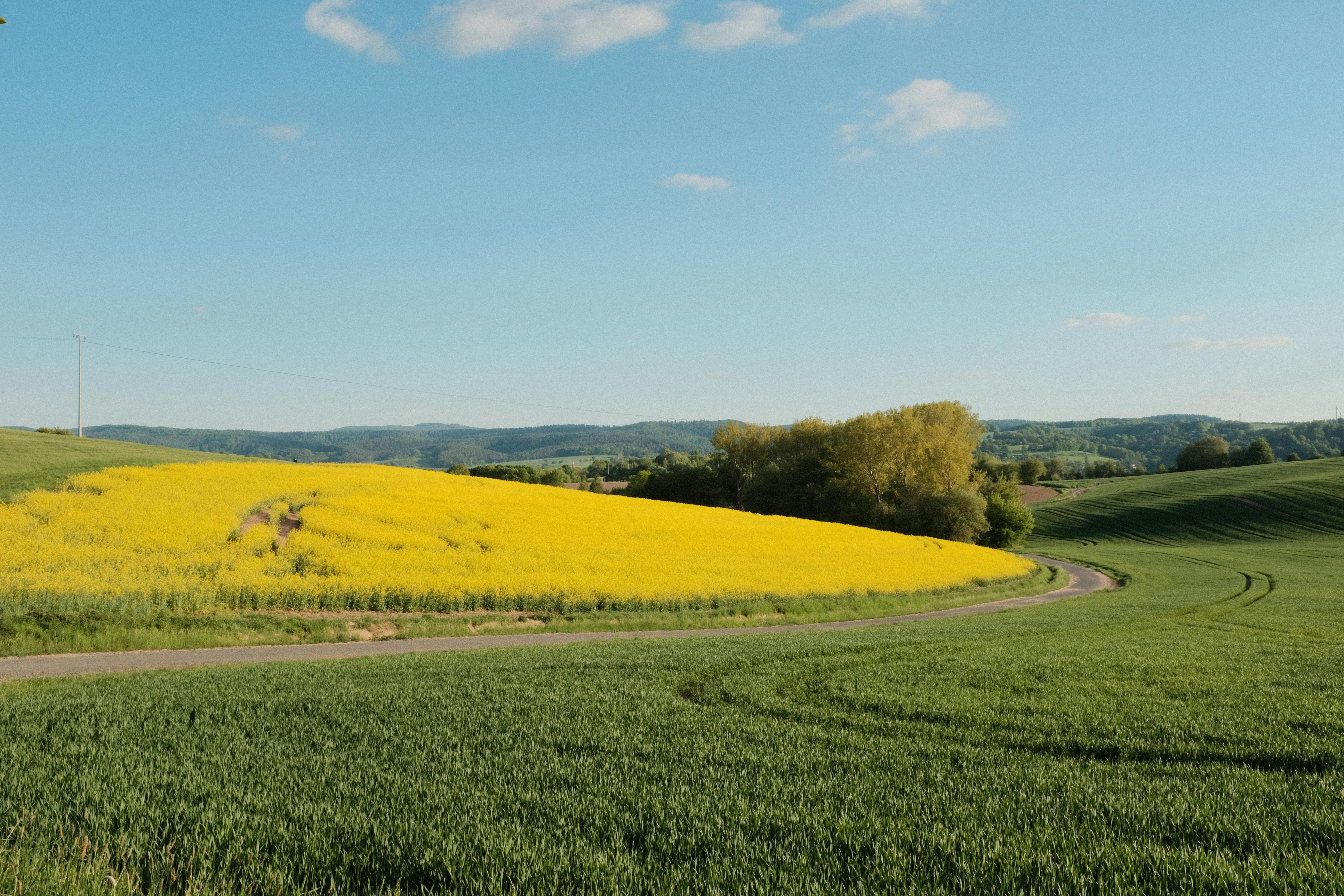 Scenic Hills and Fields in Höxter, Germany · Free Stock Photo