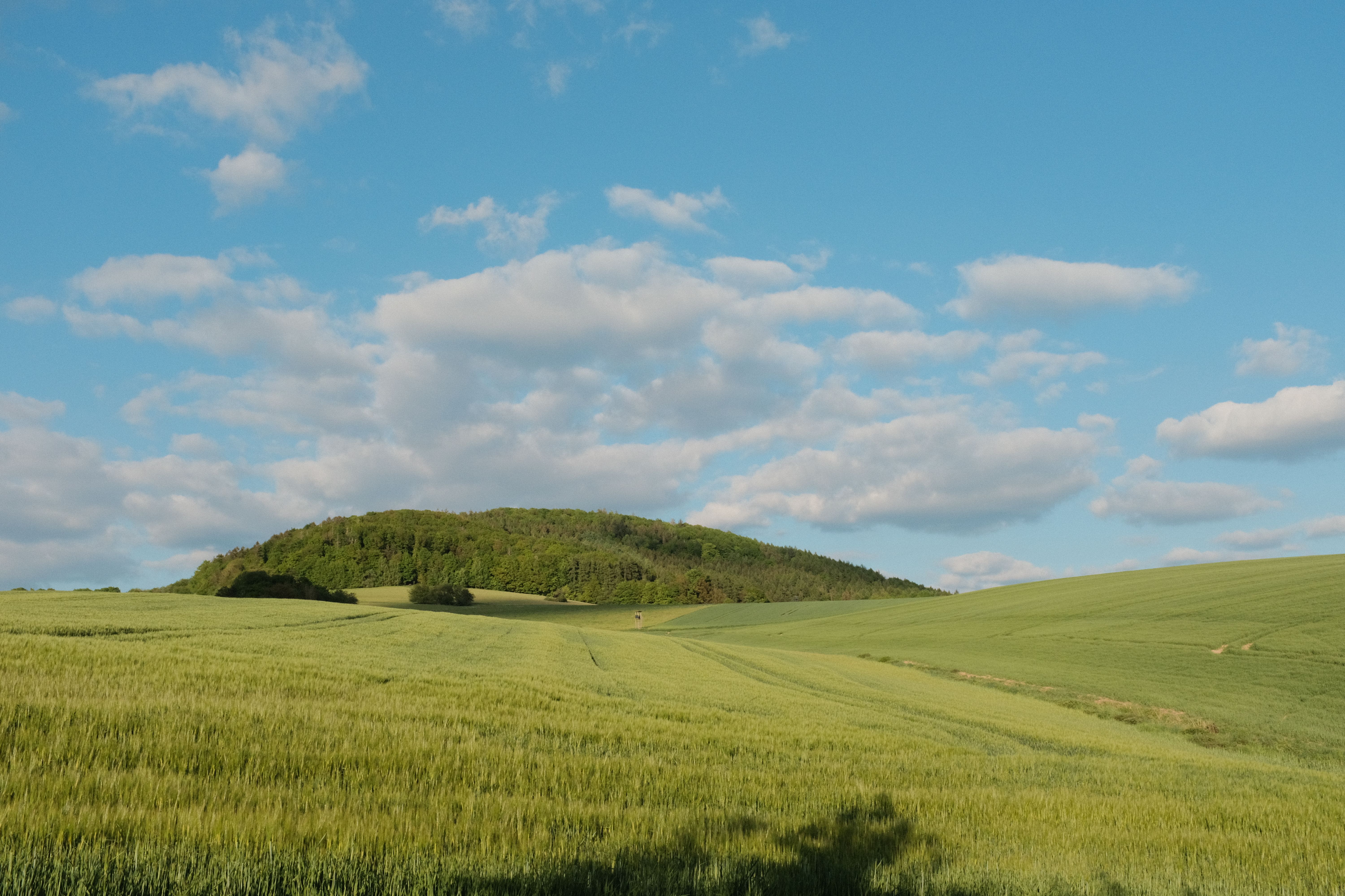 Deutsche Landschaft mit sanften Hügeln und weitem Himmel