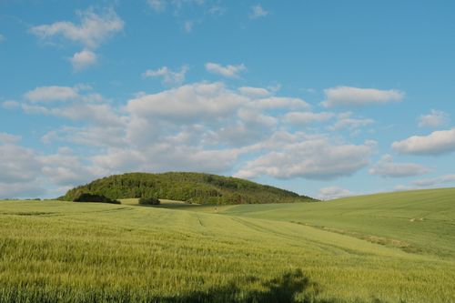 Free Lush green fields stretching to a tree-covered hill under a bright blue sky with fluffy clouds. Stock Photo