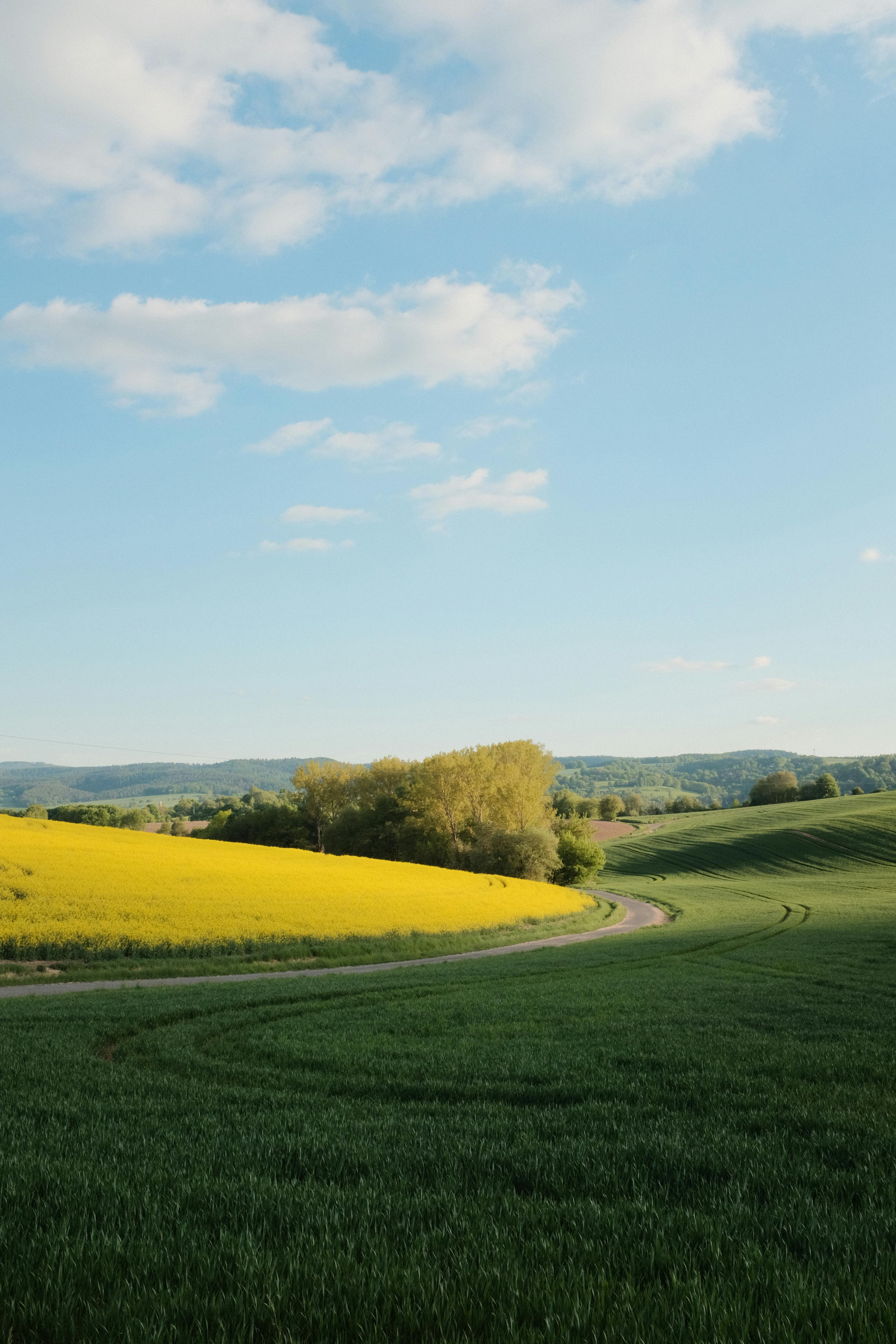 俺のmokkin hills field Agricultural Field On Hillside Mountains Near Stock Photo