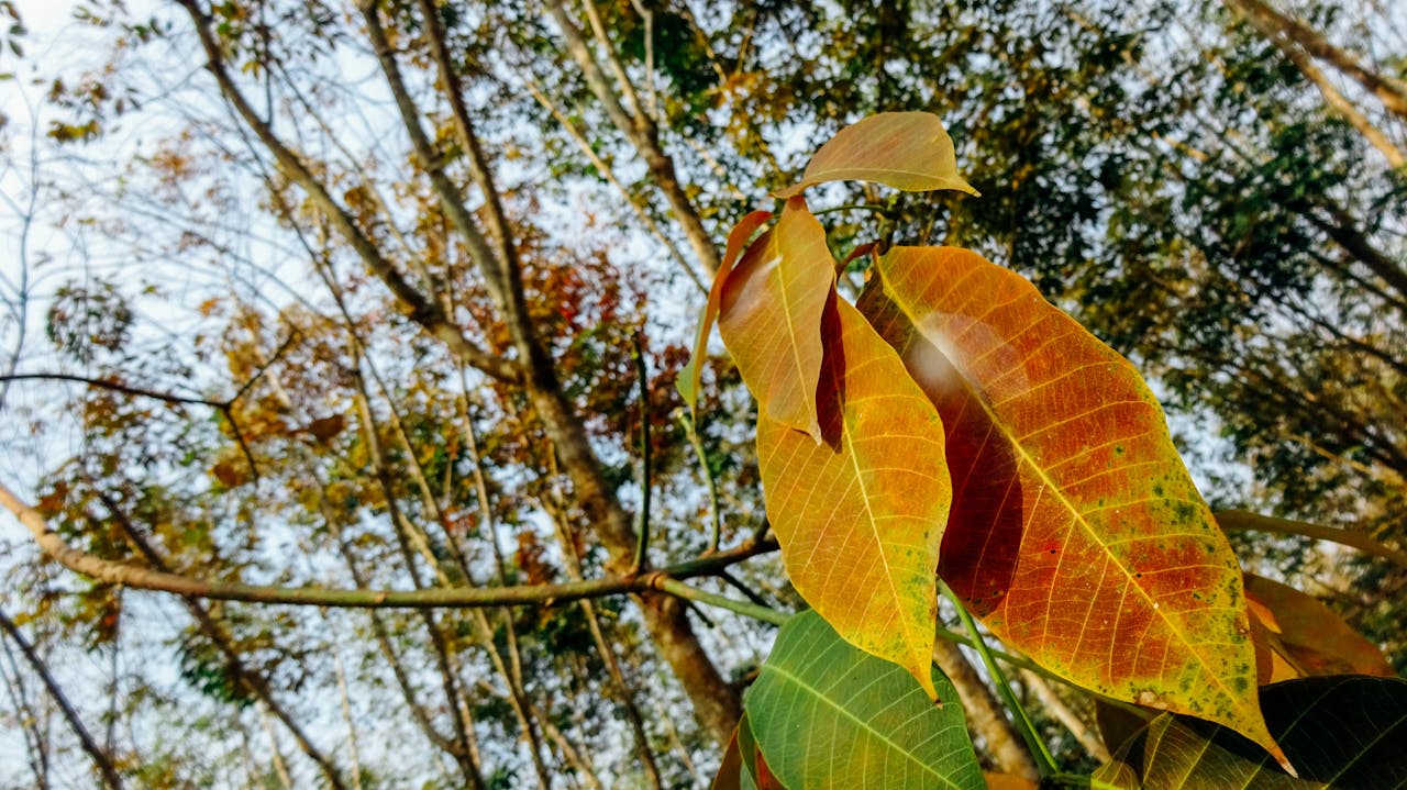 Cẩm nang du lịch Vũng Tàu