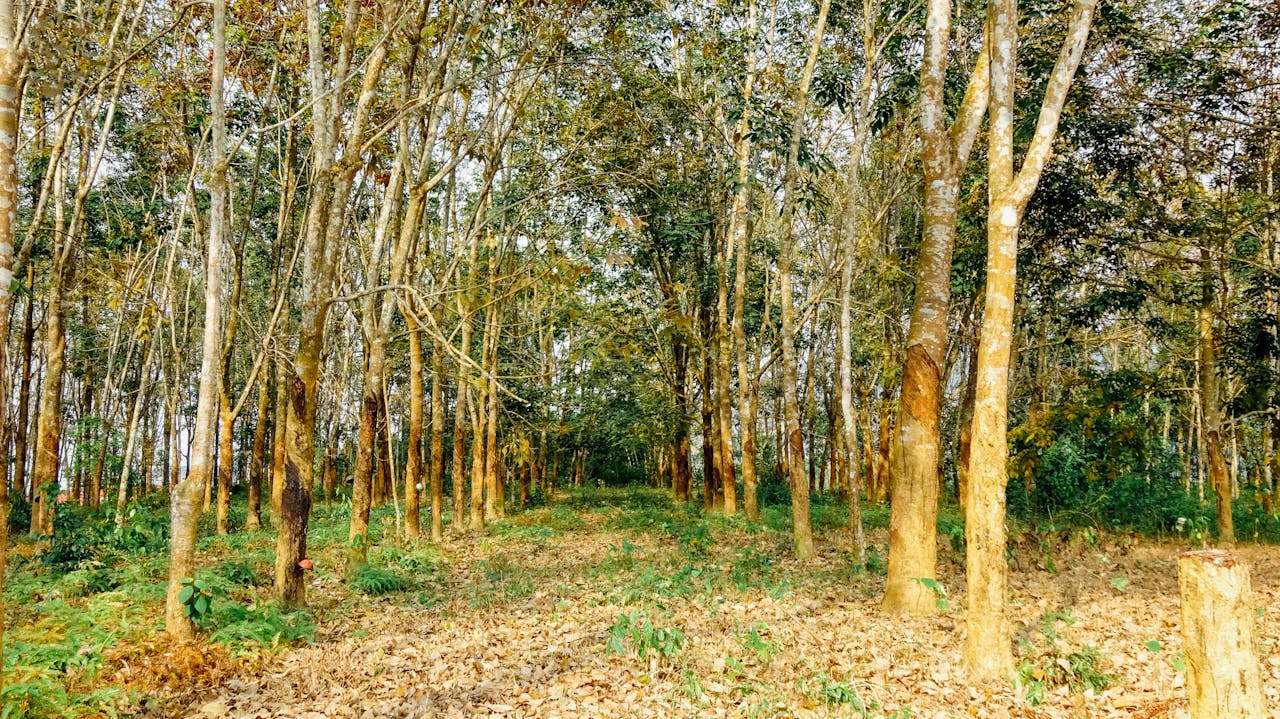 4 câu hỏi phá vỡ cỗ máy phẫn nộ