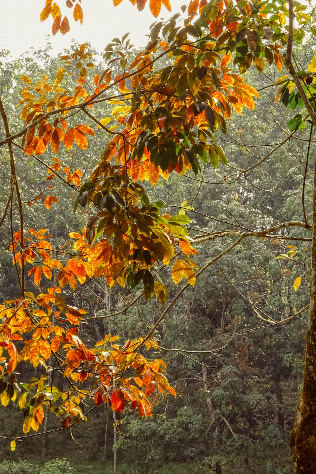 Chơi đùa với tôn giáo