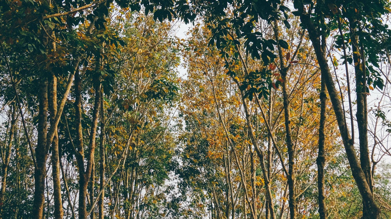 10 trích dẫn Phật giáo giải thoát khổ đau