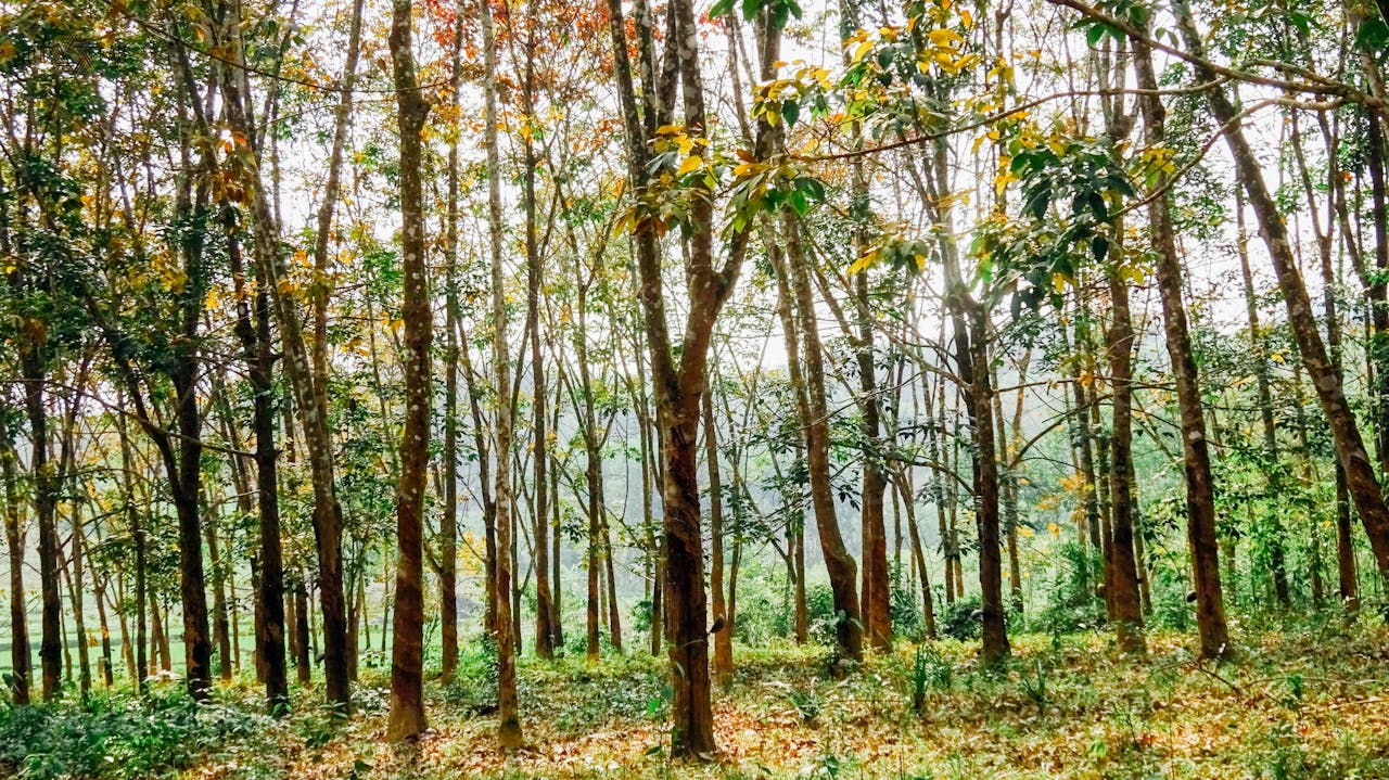 Muốn an được an | Chương 02