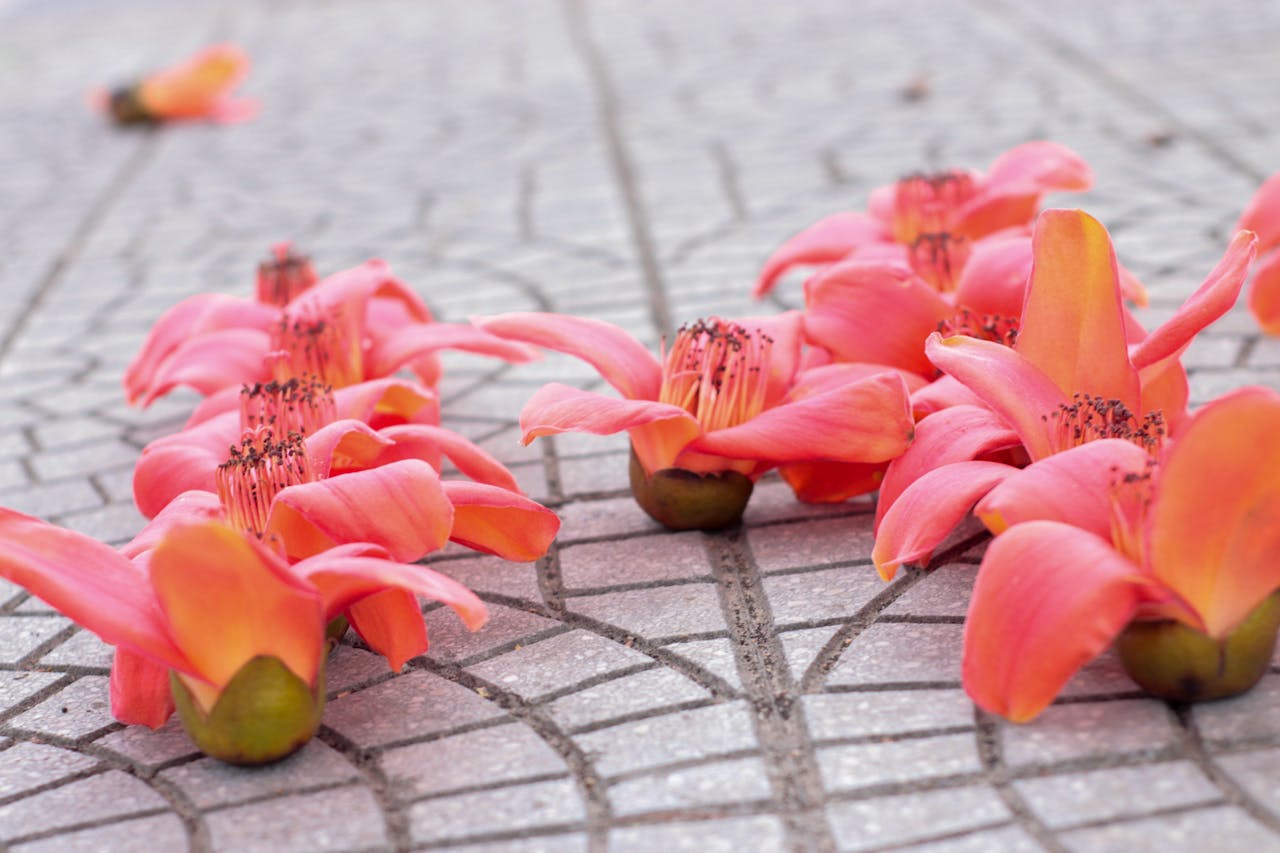 Diễn từ Nobel Văn học 2008 – Heuréka, Imre Kertész