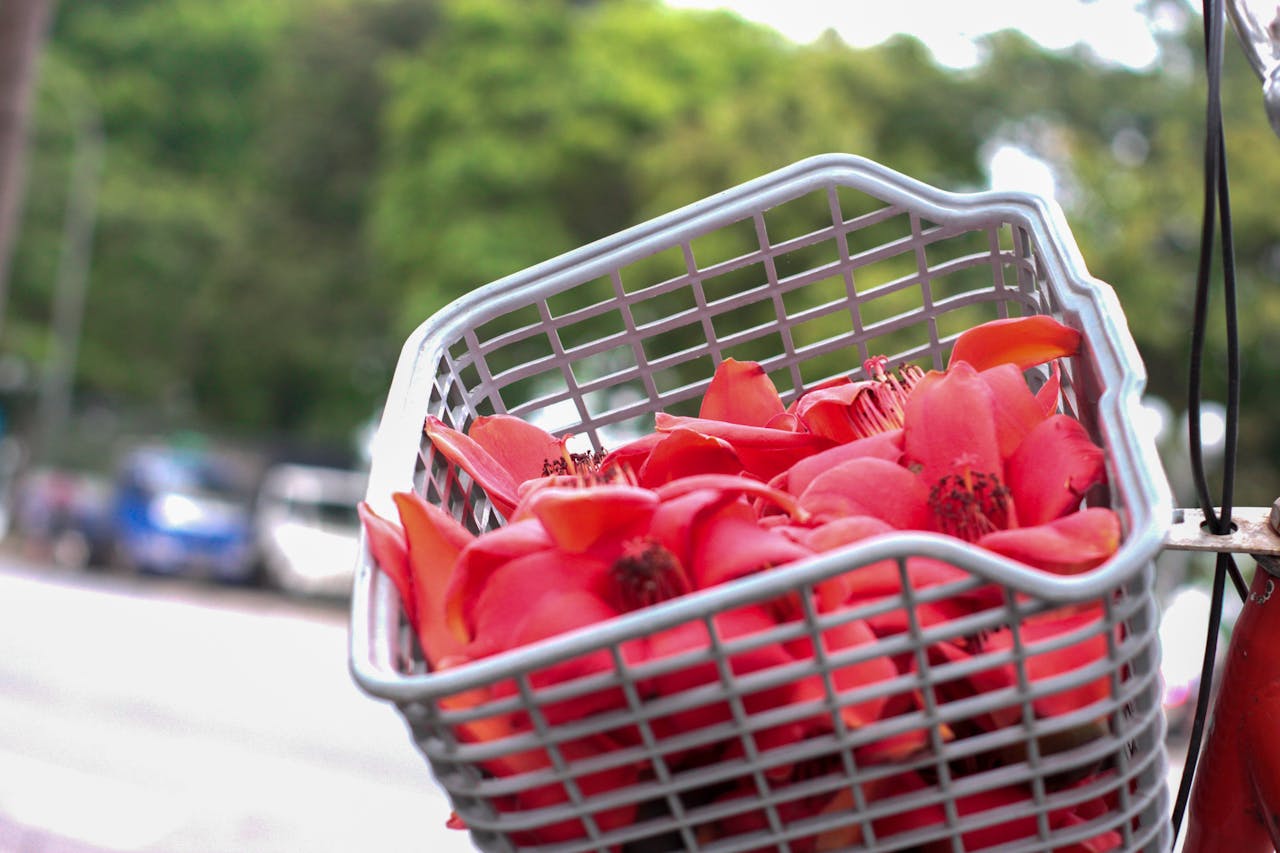 Thám tử lừng danh Conan | Chương 1143