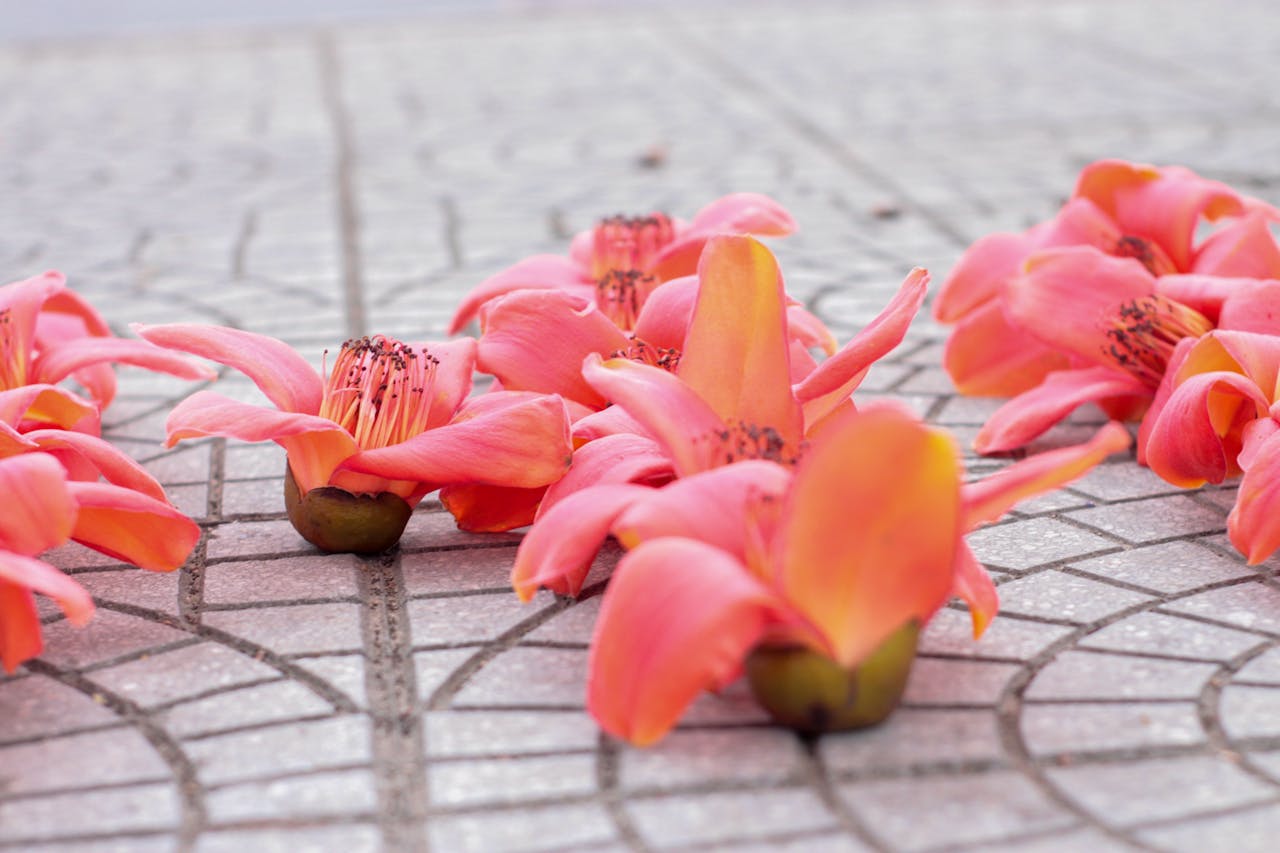 Chạy bền là tài năng tiềm ẩn của loài người