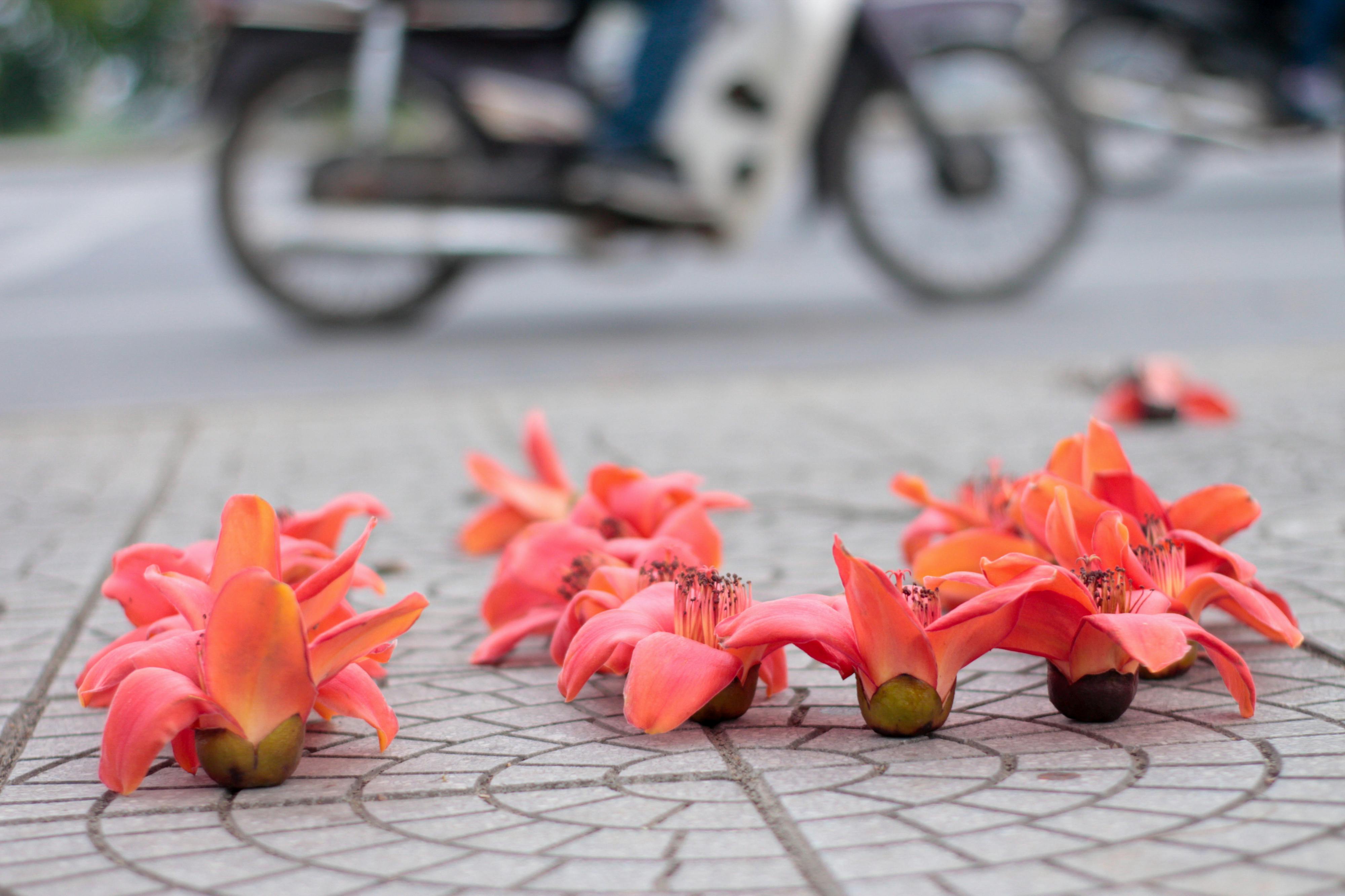 Chim lửa | Chương 07