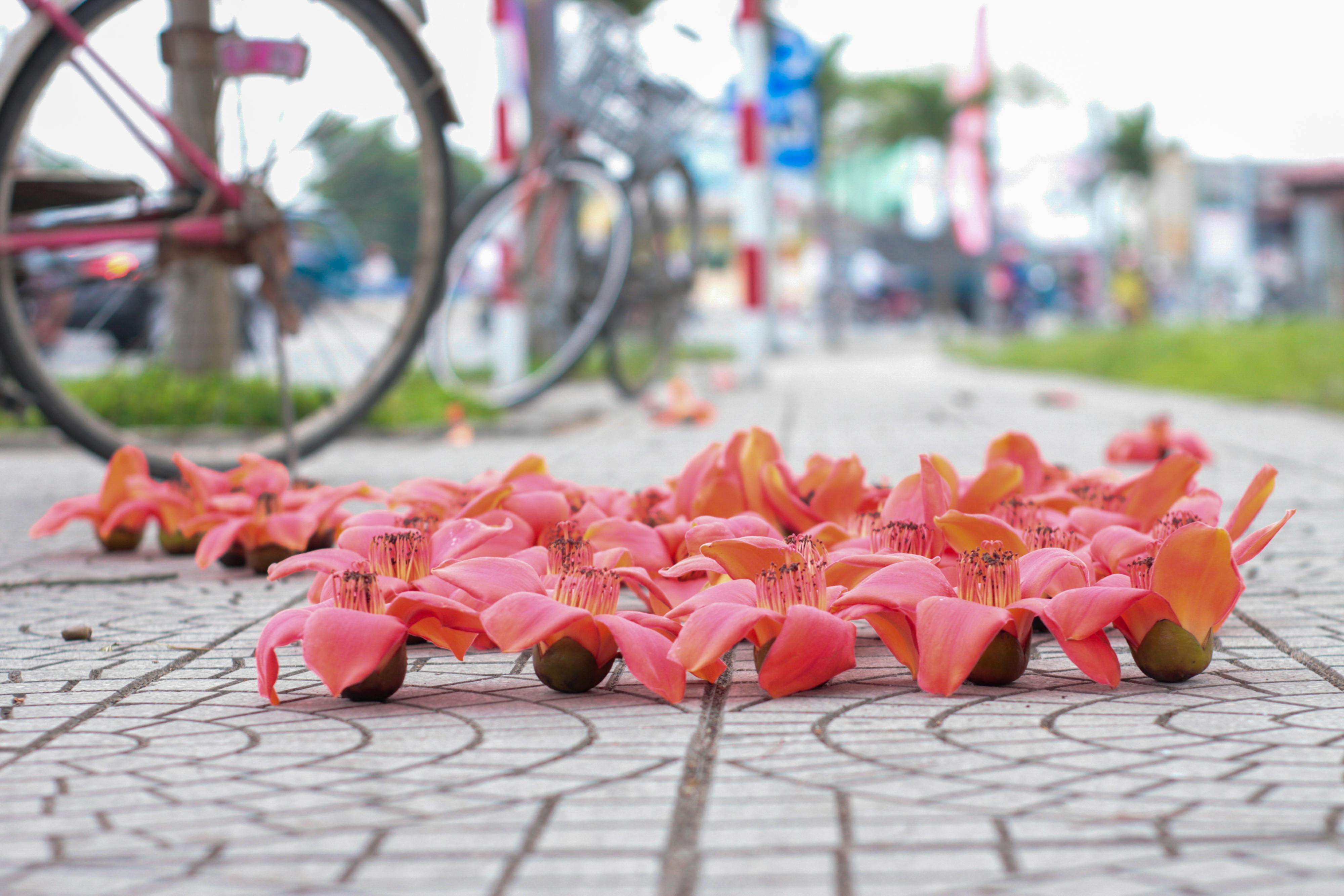 Chim lửa | Chương 04