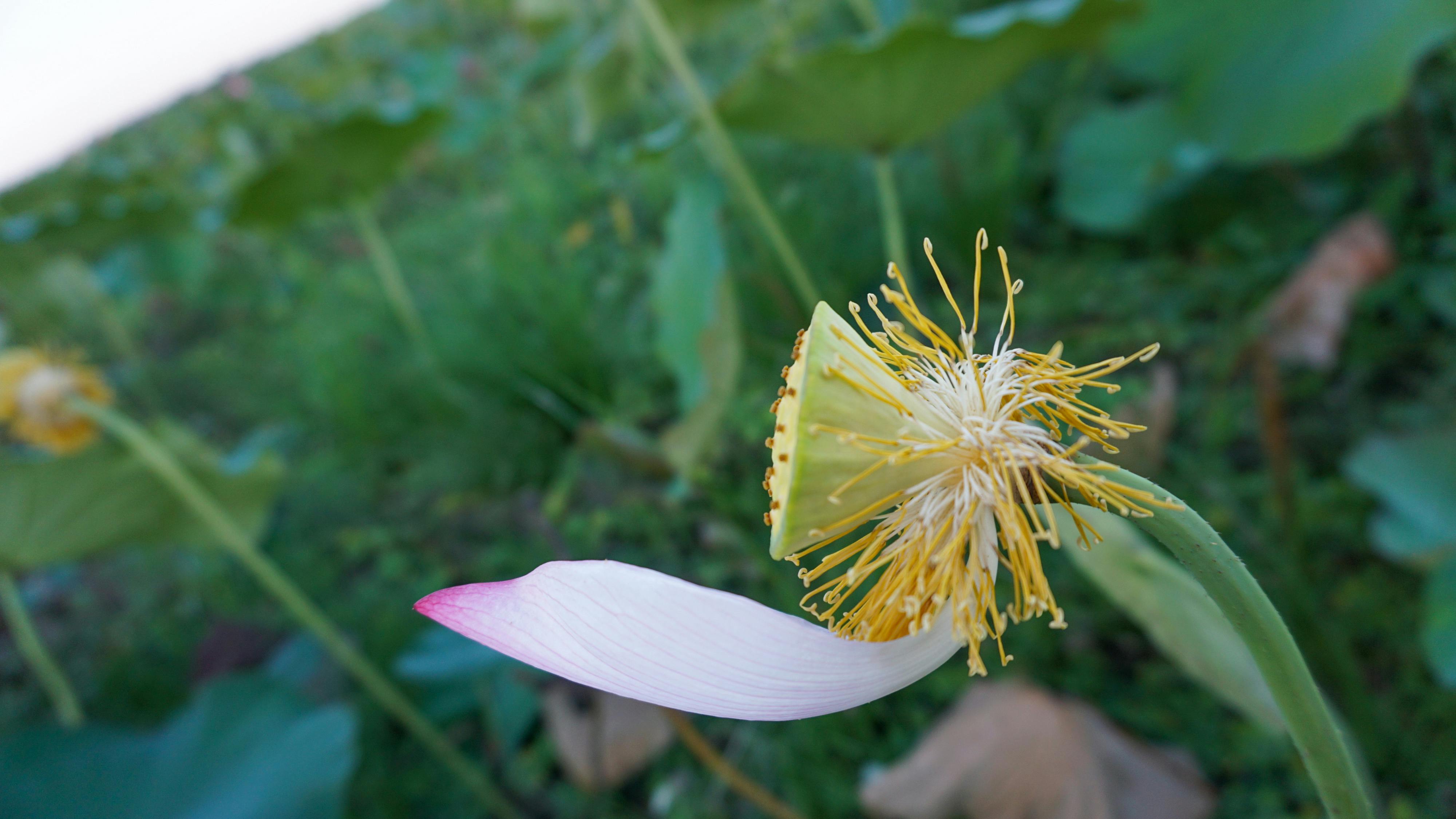 Sợ hãi | Chương 09