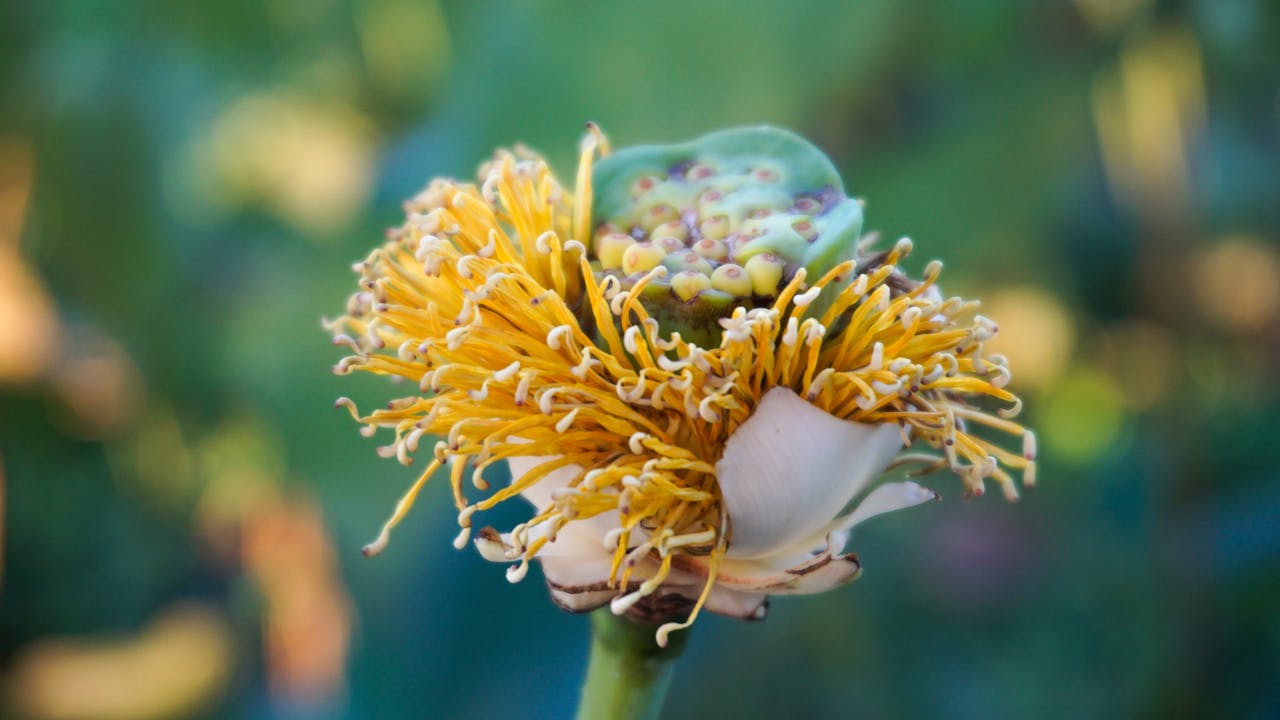 Nói với tuổi hai mươi | Lời nói đầu