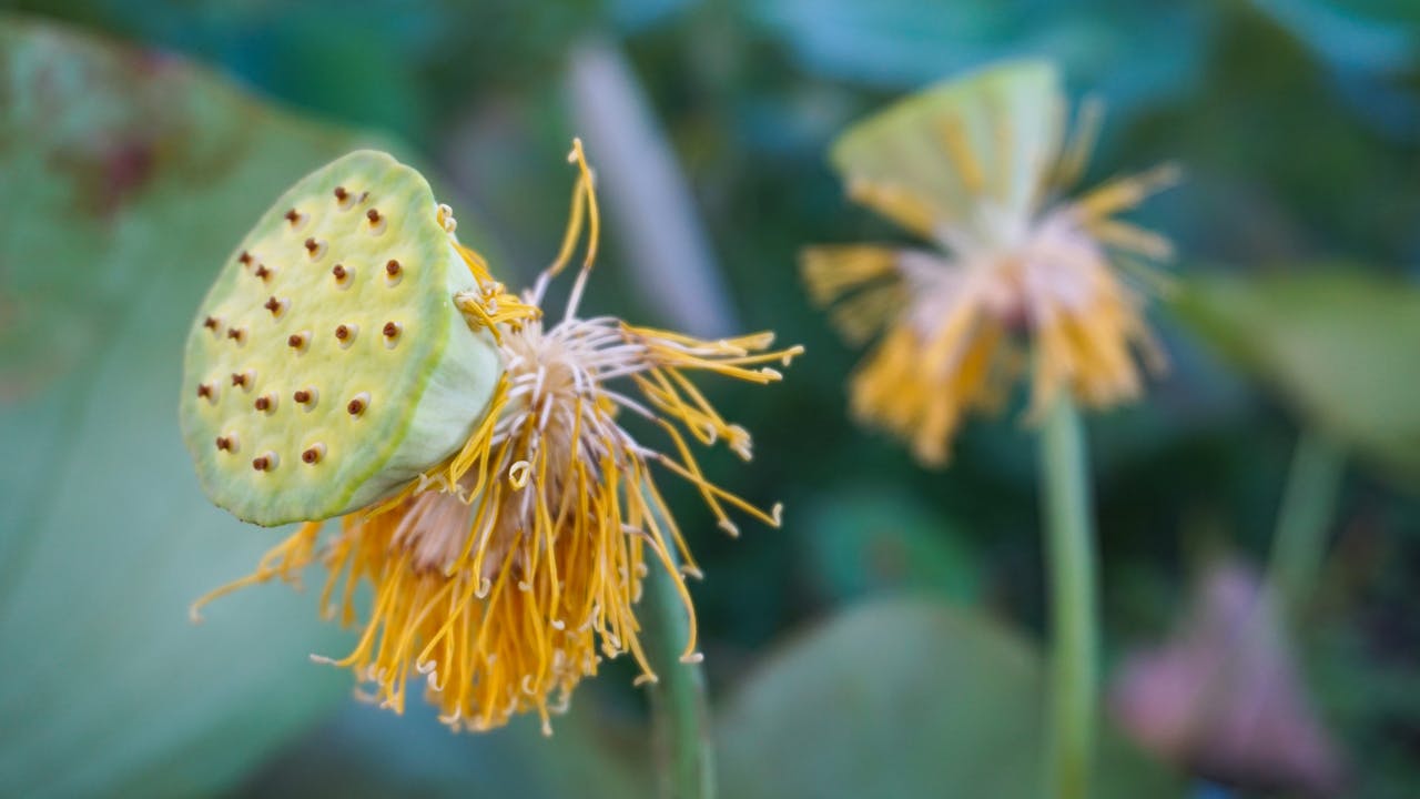 10 câu trích dẫn chứng minh nhân loại thật phi lý