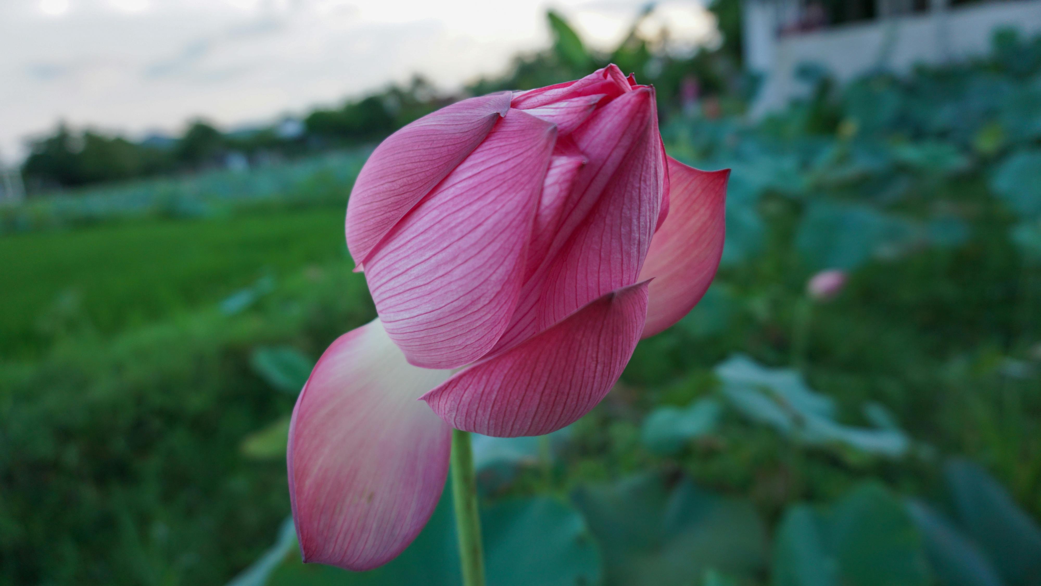 Vấn nạn đánh giá ảo – Quy mô và cách chống lại gian lận đánh giá trong ngành khách sạn