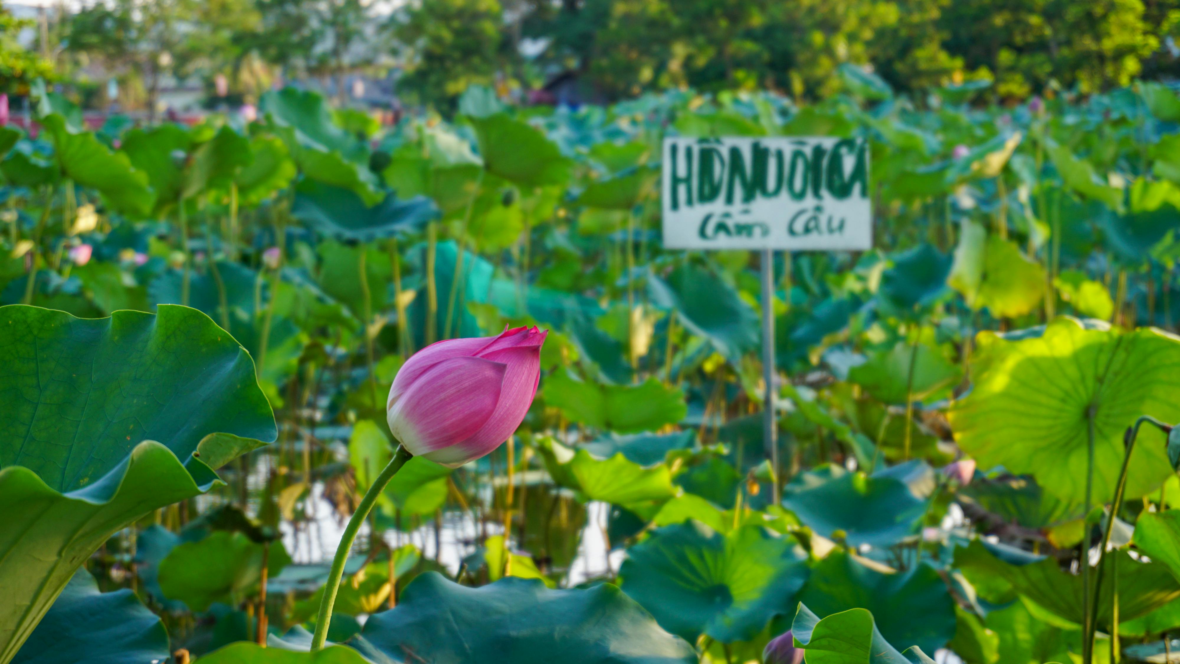 Cuộc sống như thế nào ở những nơi khác trong vũ trụ?