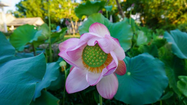 Danh sách bài viết, trang 357