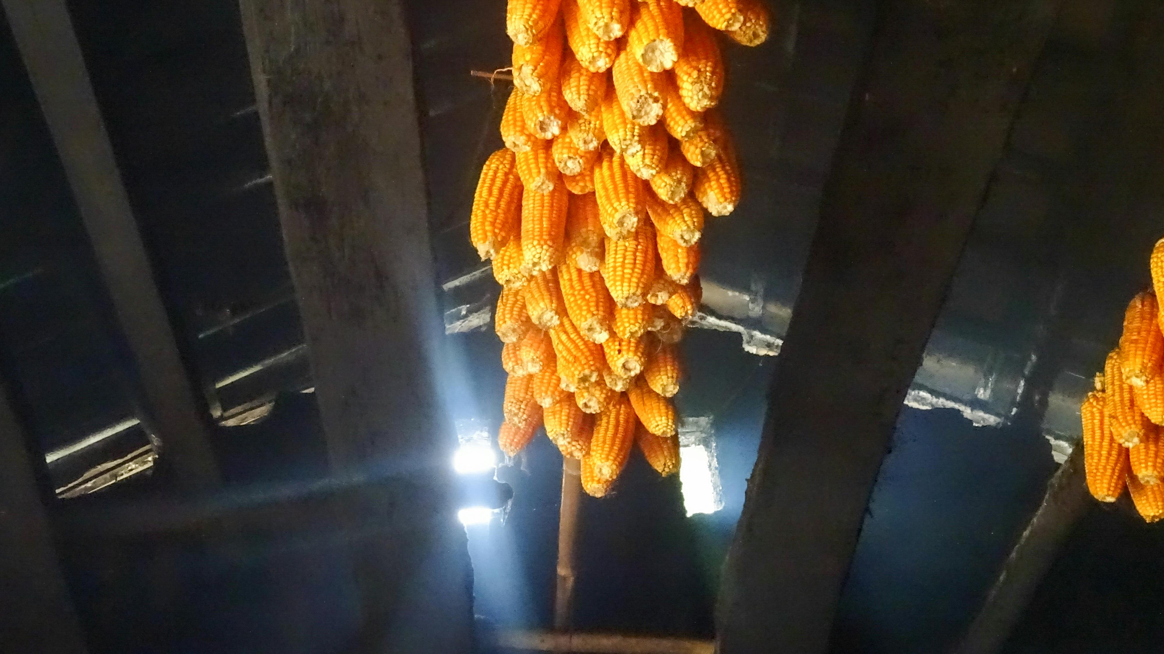 Tĩnh lặng | Chương 07