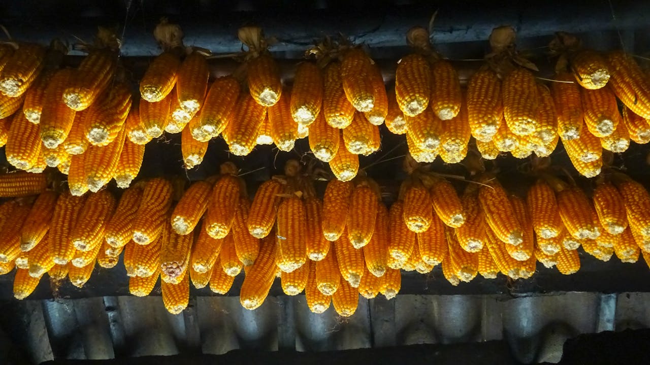 Đứt gãy và định kiến trong cộng đồng Do Thái