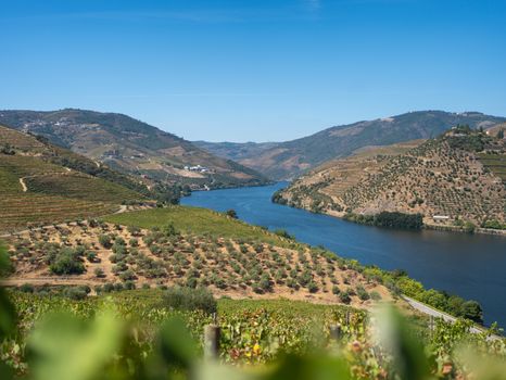 Douro valley train with vineyard lunch — Porto