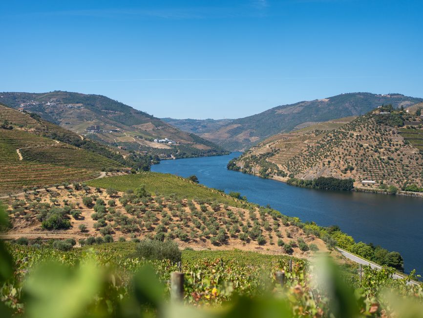 The Douro River flanked by vineyards near Porto, Portugal