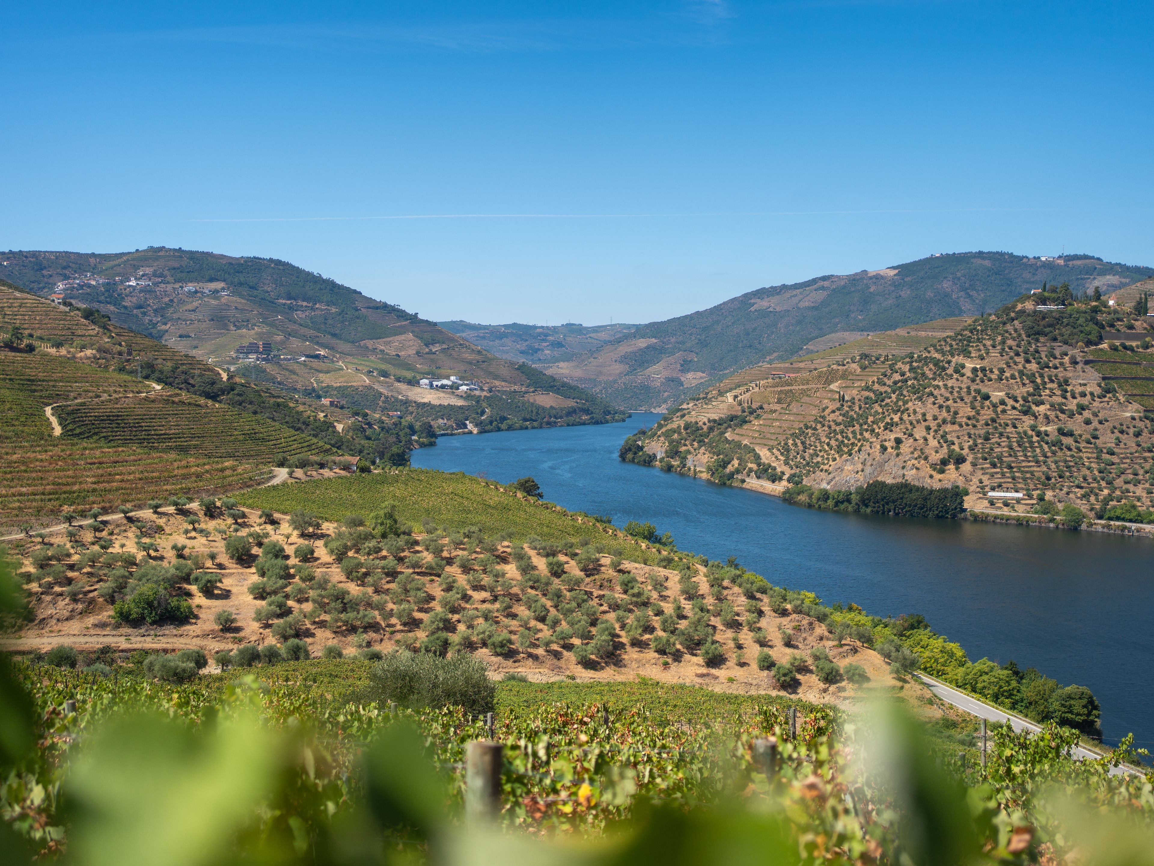 Douro Valley, Portugal — Three centuries of walls holding everything