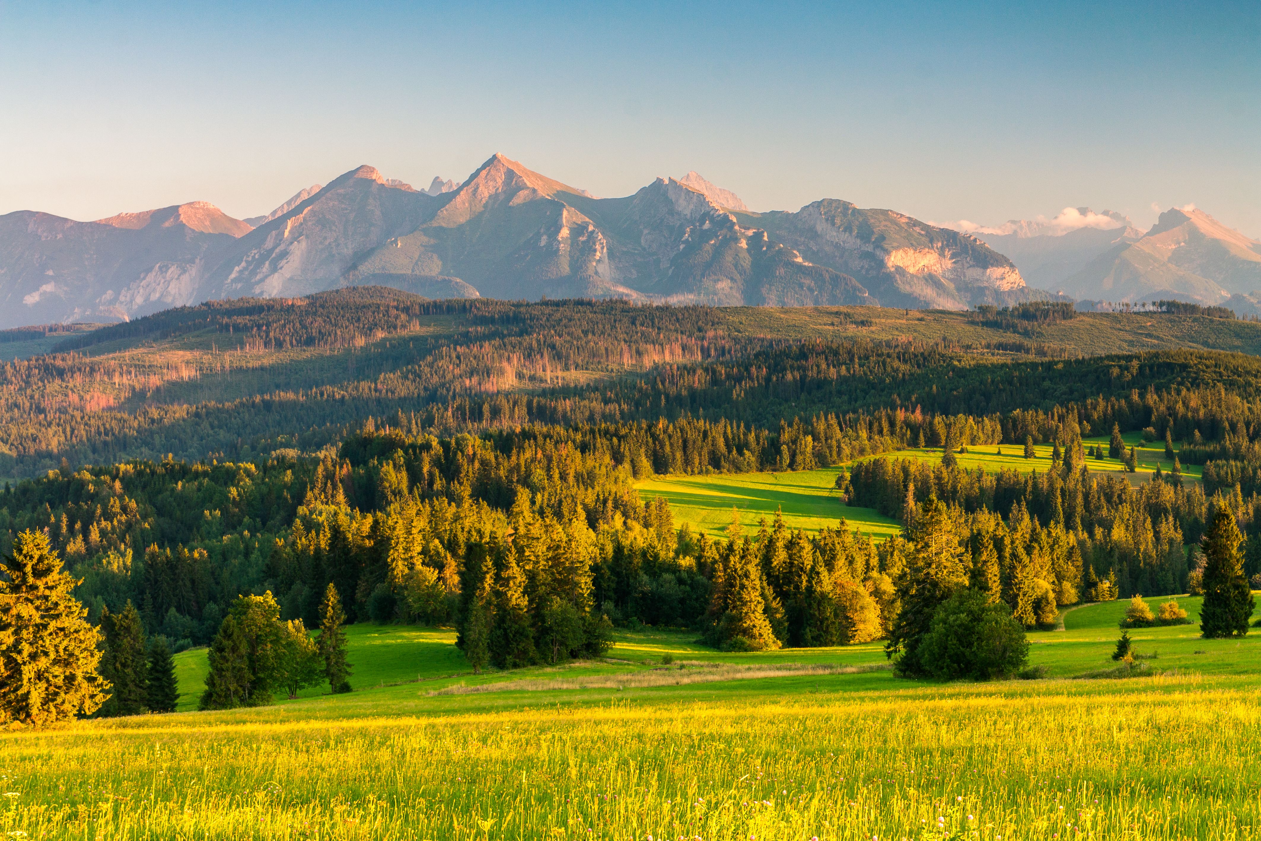 Świętokrzyskie Mountains at golden hour with ancient forest, rock formations, and Benedictine monastery glowing in warm morning light