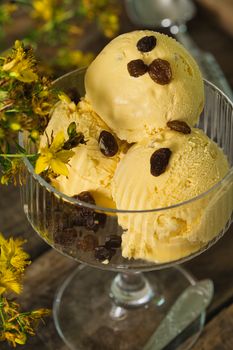 Ice Cream Sundae, Fruit Topping