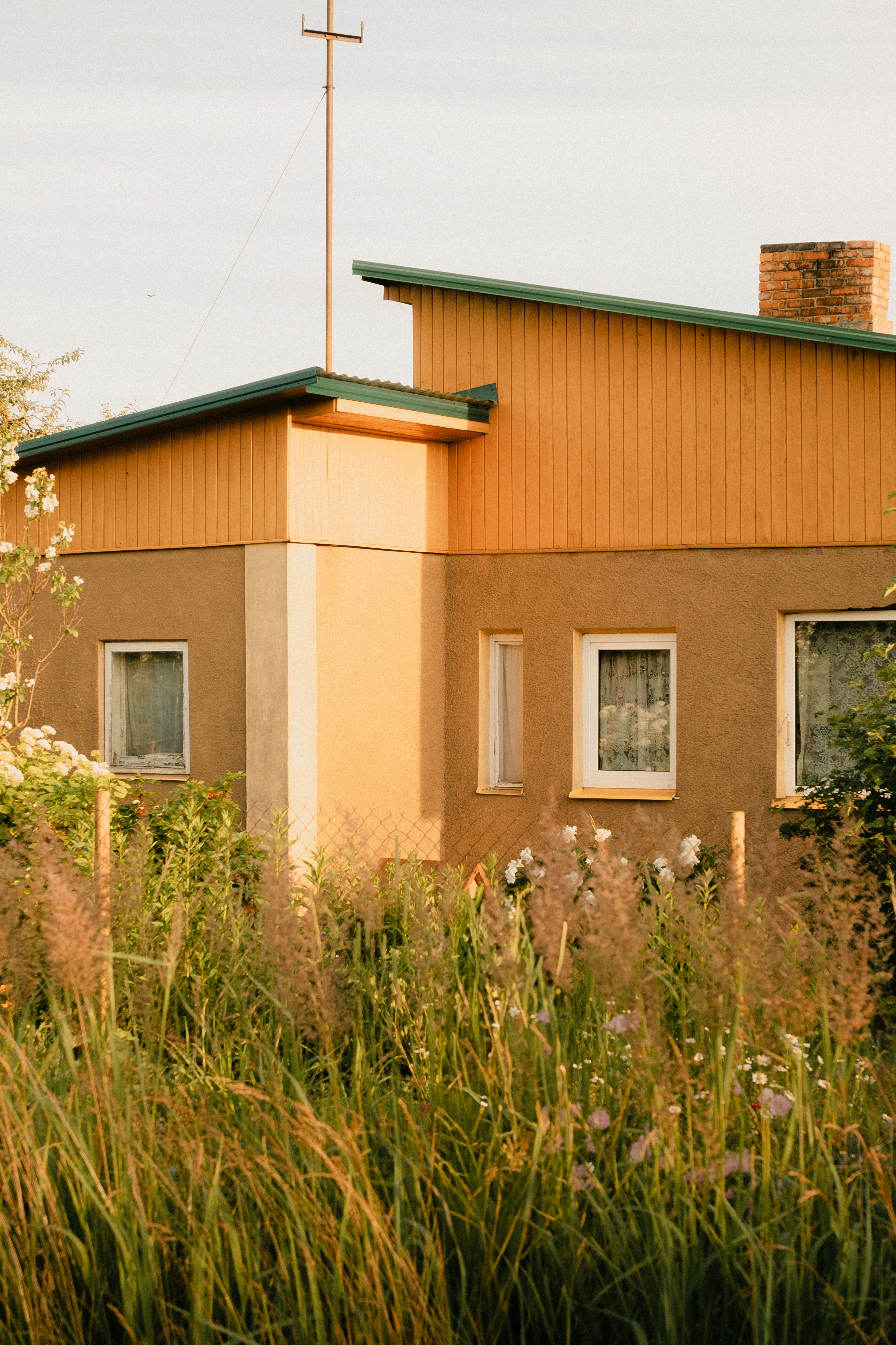 A cozy rural house bathed in sunlight, surrounded by tall grasses and vibrant garden flowers.