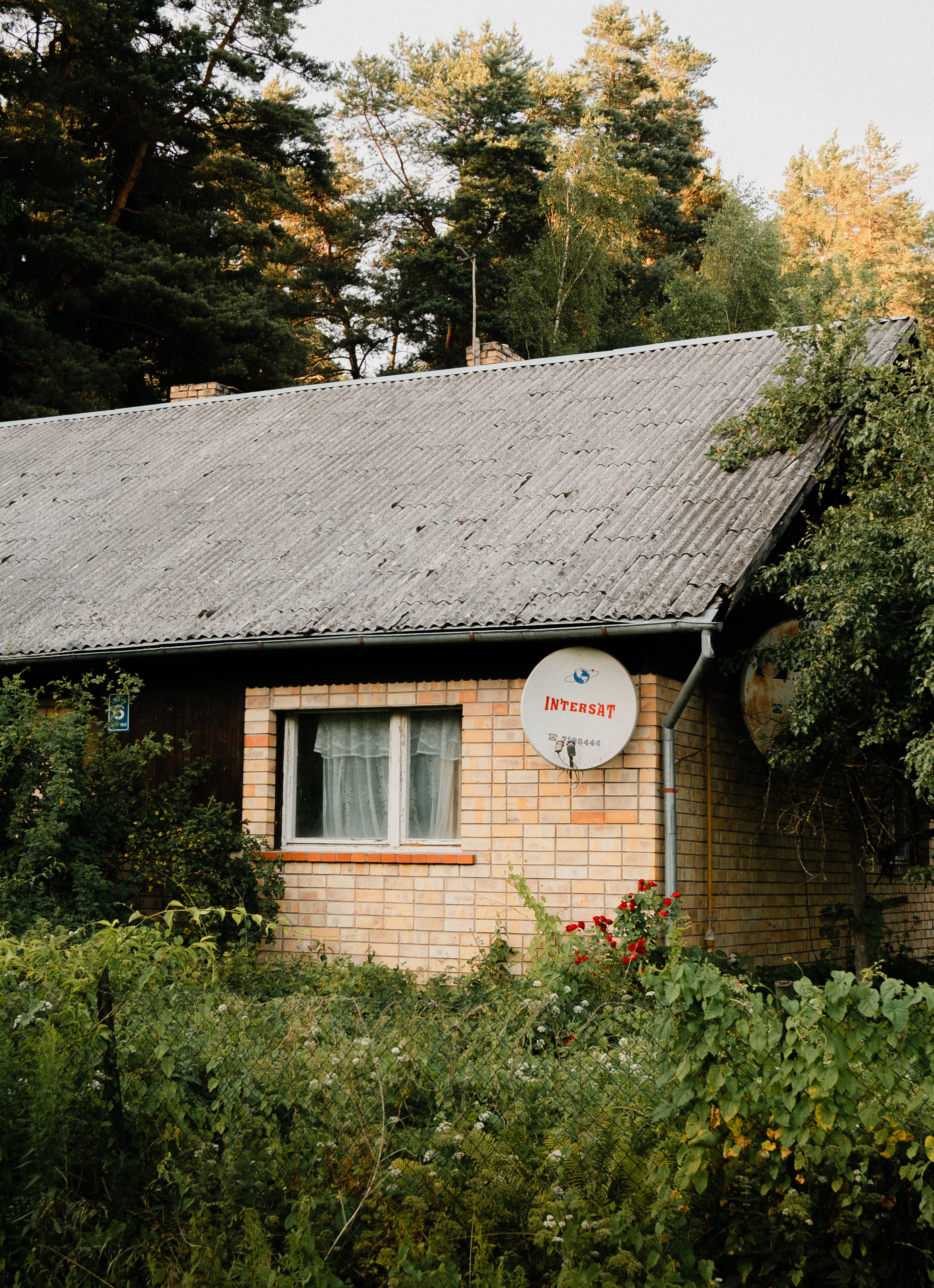 Charming Rustic House in Lush Greenery Setting · Free Stock Photo