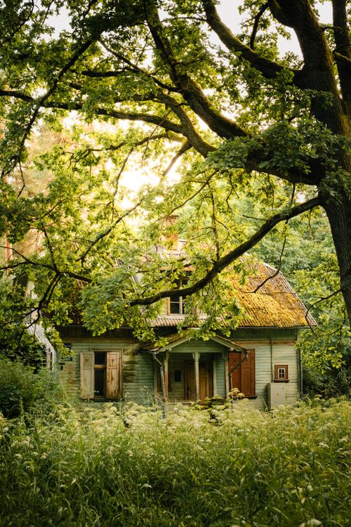 Rustic Photo Cute Charming Rustic Cottage in Lush Greenery · Free Stock Photo